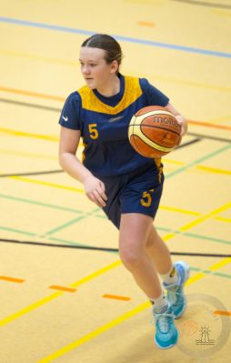 erlevsbgu14w2
